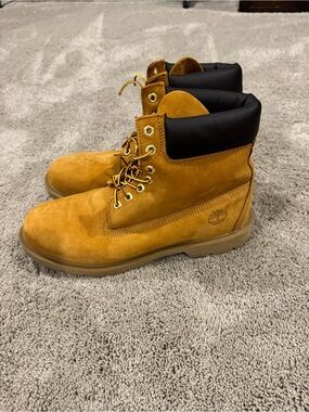 Men's Timberland® Premium 6-Inch Waterproof Boot
